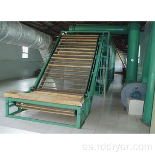 Plum Slice Belt Type Dryer